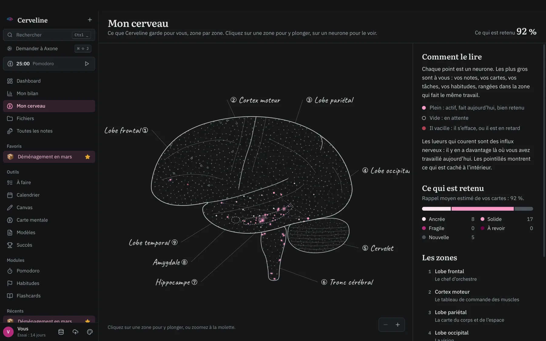 « Mon cerveau » : un cerveau dessiné à la craie, avec un point lumineux pour chaque note, carte et tâche, rangés par zone